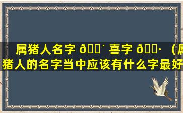 属猪人名字 🐴 喜字 🕷 （属猪人的名字当中应该有什么字最好）